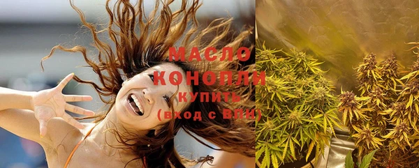 молекула духа Вязьма