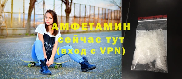 молекула духа Вязьма
