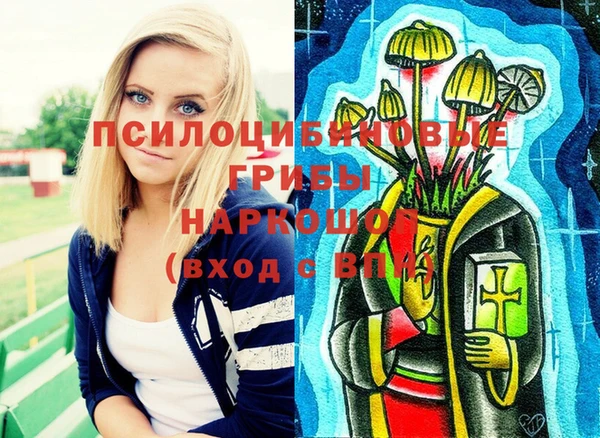 молекула духа Вязьма
