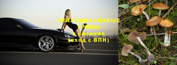 молекула духа Вязьма