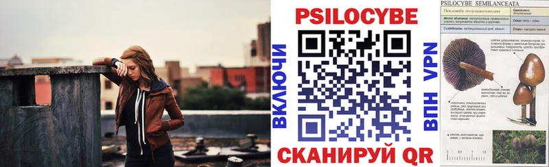 Псилоцибиновые грибы Psilocybine cubensis  цены   Калининец 